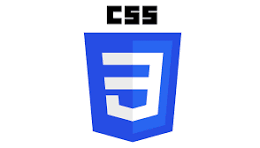 CSS